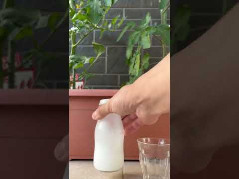 なぜトマトに牛乳をかけるのでしょうか？副作用はありますか?  庭園