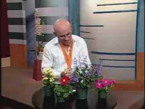 Mediodía PR 3/10/09 - Inventando con Douglas Candelario