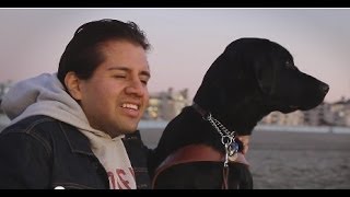 Harnessing the Power of Partnership (English)