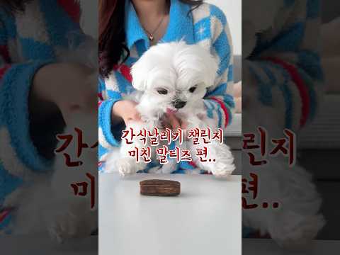 손가락 날리기 챌린지^^