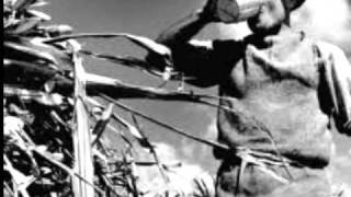 Idaho (Cover) - The Bodeans