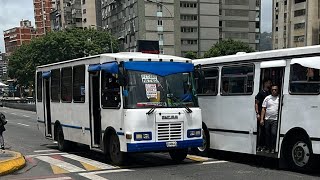 💥 VENEZUELA en Vivo Caracas Street
