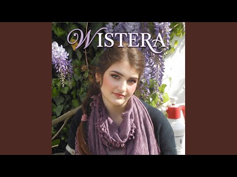 I tuoi abbracci fanno da scudo