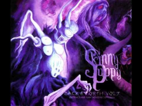 Skinny Puppy - Wrong Rip Fixin