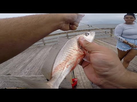 Family fishing day at the Avon Pier| North Carolina Adventures Pt.2