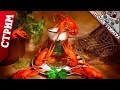 Под пивко... DotA 2 [Раки и пиво] 
