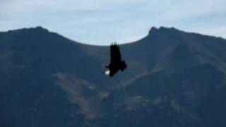 preview picture of video 'Cruz del Condors'