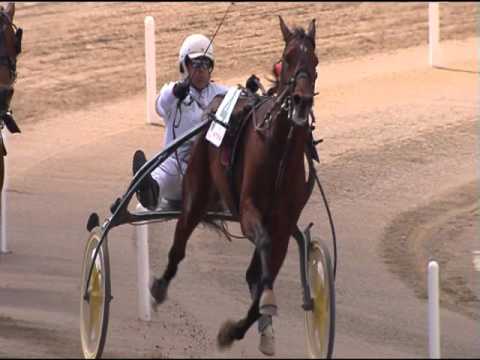 TROTTO 01/05/2016 - 4° CORSA 3° BATTERIA 67° GP. LOTTERIA