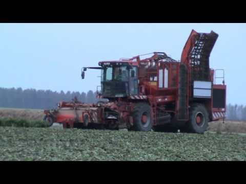 Loonw. Willocq - Chapelle-à-Oie