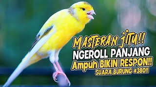 Download lagu SUARA BURUNG |380| Kenari GACOR PANJANG INI Cocok untuk Masteran KENARI PAUD dan Kenari Macet BUNYI mp3 Download lagu SUARA BURUNG |380| Kenari GACOR PANJANG INI Cocok untuk Masteran KENARI PAUD dan Kenari Macet BUNYI mp3
