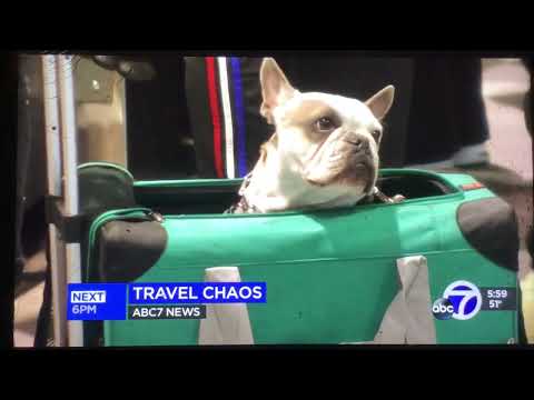 KGO ABC 7 News at 6pm open December 26, 2022