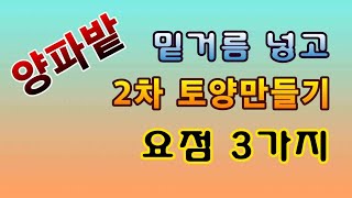 [텃밭농부.803]  양파밭 2차 토양만들기 요점 3가지 #양파재배