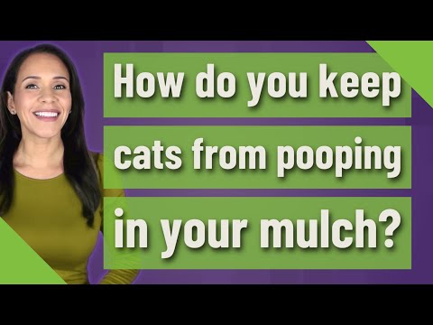 How do you keep cats from pooping in your mulch?