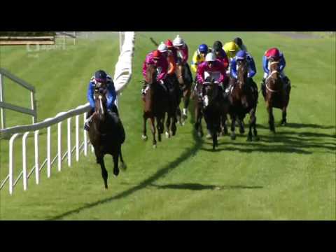 2016.08.28 Czech St. Leger - Grace of Gracie