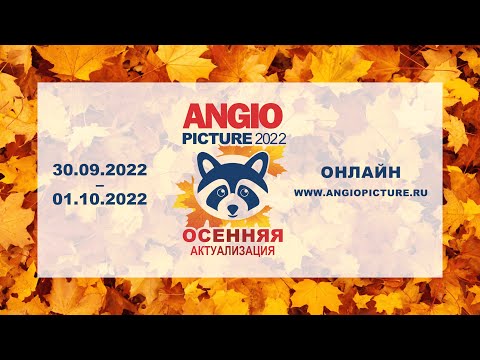 Осенняя актуализация Angiopicture - 2022 01 октября 2022 г.