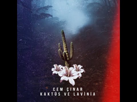 Can Avrio - Kaktüs ve Lavinia (Cem Çınar Cover)