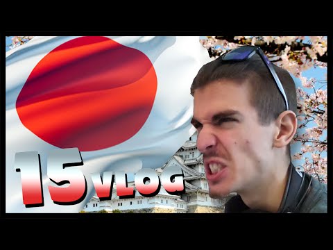 VLOG 15 : The Japanese lost me the 3Ds !
