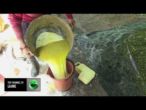 Top Channel/ Pas Covid-it, “shpërthen” kokaina: Prodhimi global mbërrin nivele rekord!