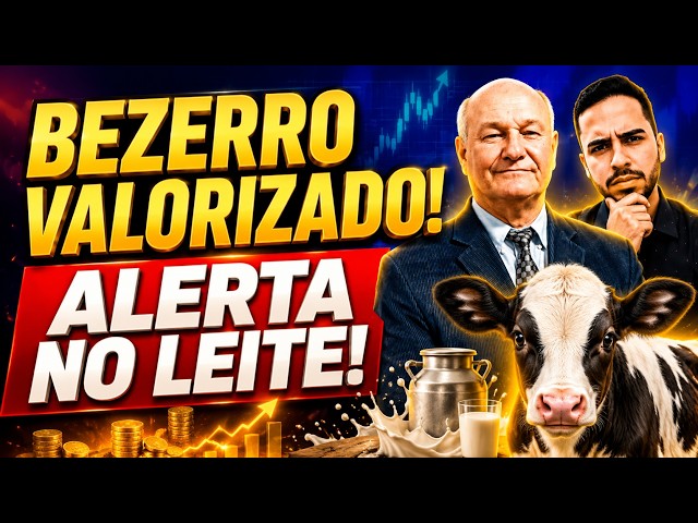 Preço do boi deve disparar! Preço do leite internacional despenca!