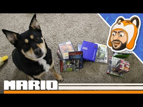 Thrifty Gaming Pickups: Phat PS2 Vertical Stand, PS2 Game Haul, and an Import! - Episode 17