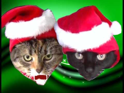 JINGLE CATS - 