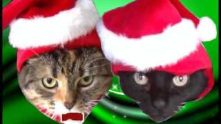 JINGLE CATS - 