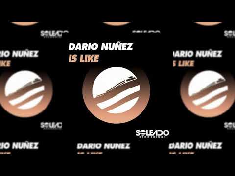 Dario Nuñez - IS LIKE (Original Mix)