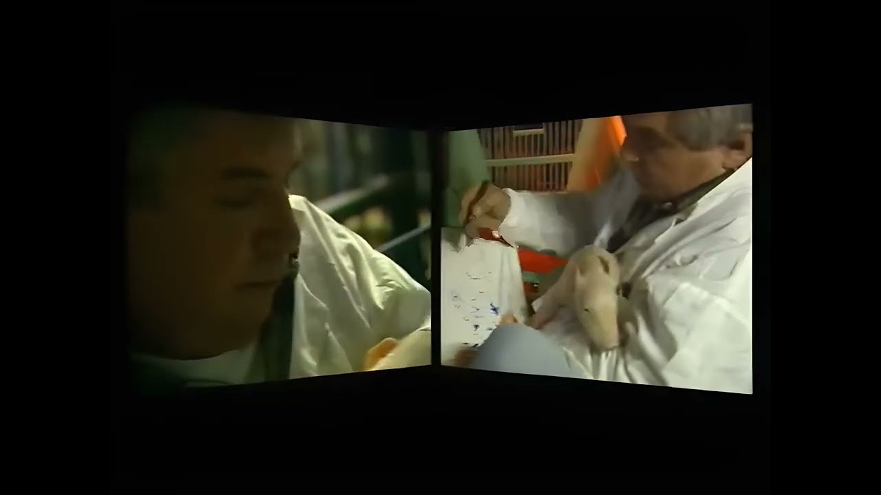 CALL OF THE SNOUT (Enhanced 4K)