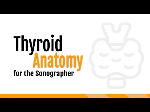 Thyroid Anatomy for the Sonographer