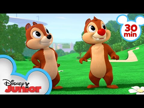Nutty Tales 30 Minute Compilation! | Chip 'N Dale's Nutty Tales | @disneyjunior
