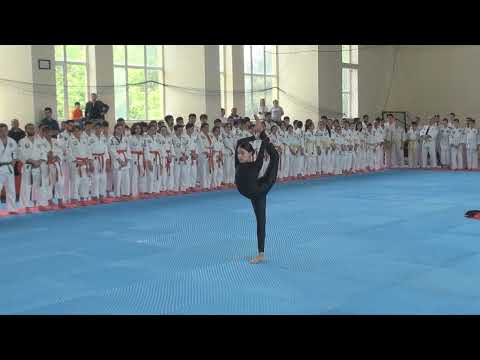 Opening of 9th International Real Aikido Seminar