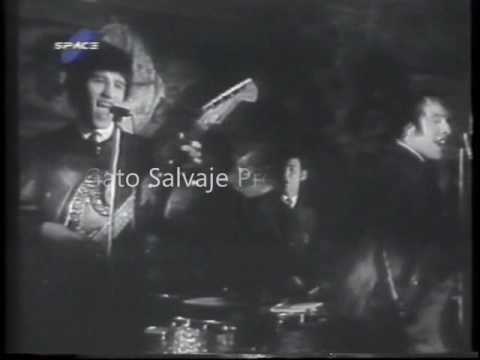 Los Buhos 1965 - Everybody