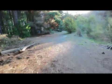 DJI Neo FPV Manual - Second forest flight