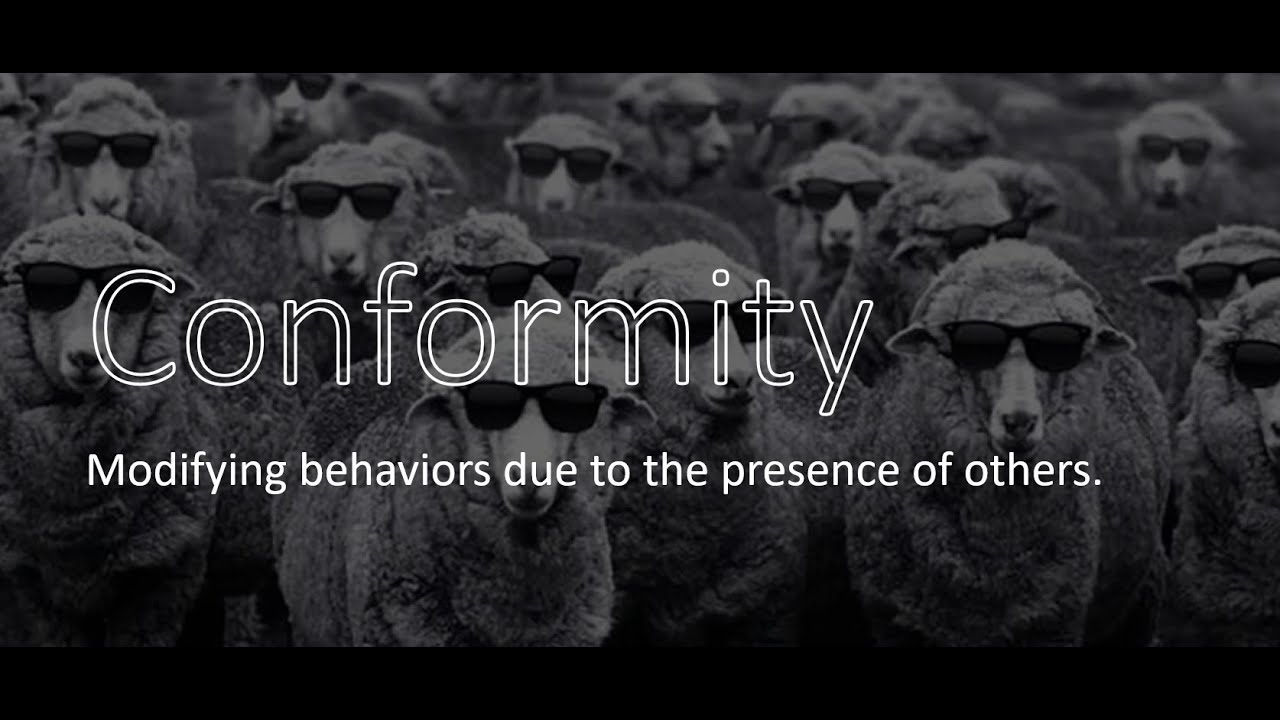 Chapter  7: Conformity (pt. 2)