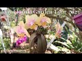 May Florida Garden Tour 2023 See What Is Blooming In Our Garden