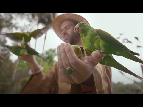 Me Sinto Bem | Feito Pra Acabar 10 Anos | Marcelo Jeneci