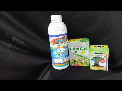 Super Phosphorus Zinc Usa, Groro yellow apricot root care, 0902074660 Comcat, NPK 17 17 17, yello...