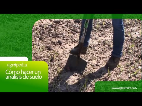 , title : 'Cómo hacer un análisis de suelo │ Agro en 2 minutos'