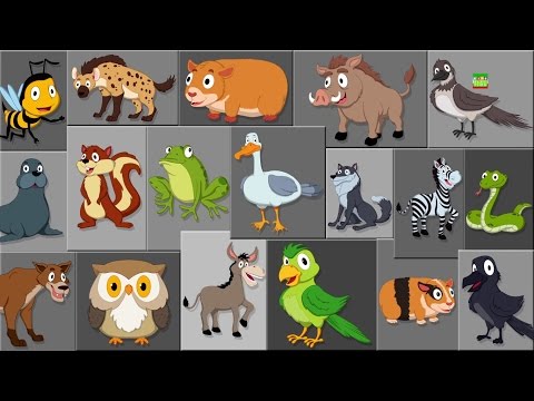 Verso di animale canzone | Imparare i nomi degli animali | Learn Animal Sound | Animal Sound Song