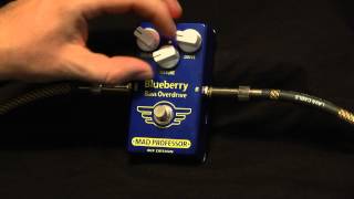 Video thumbnail for Mad Professor Blueberry Bass Overdrive pedal demo by Bass Club Chicago by Bass Club Chicago