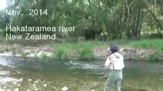 preview picture of video 'Fly fishing Hakataramea river New Zealand'