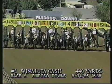 1995 All American Futurity(G1)