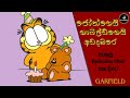 ගාෆිල්ඩ් episodes 06 එක දිගට || Garfield sinhala show Part 3 #Mr.Cartoon