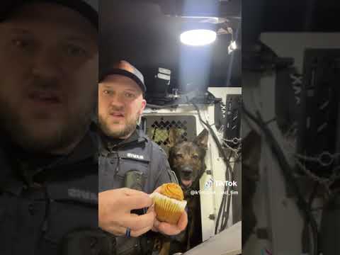 K9 Marek vs pup-cake