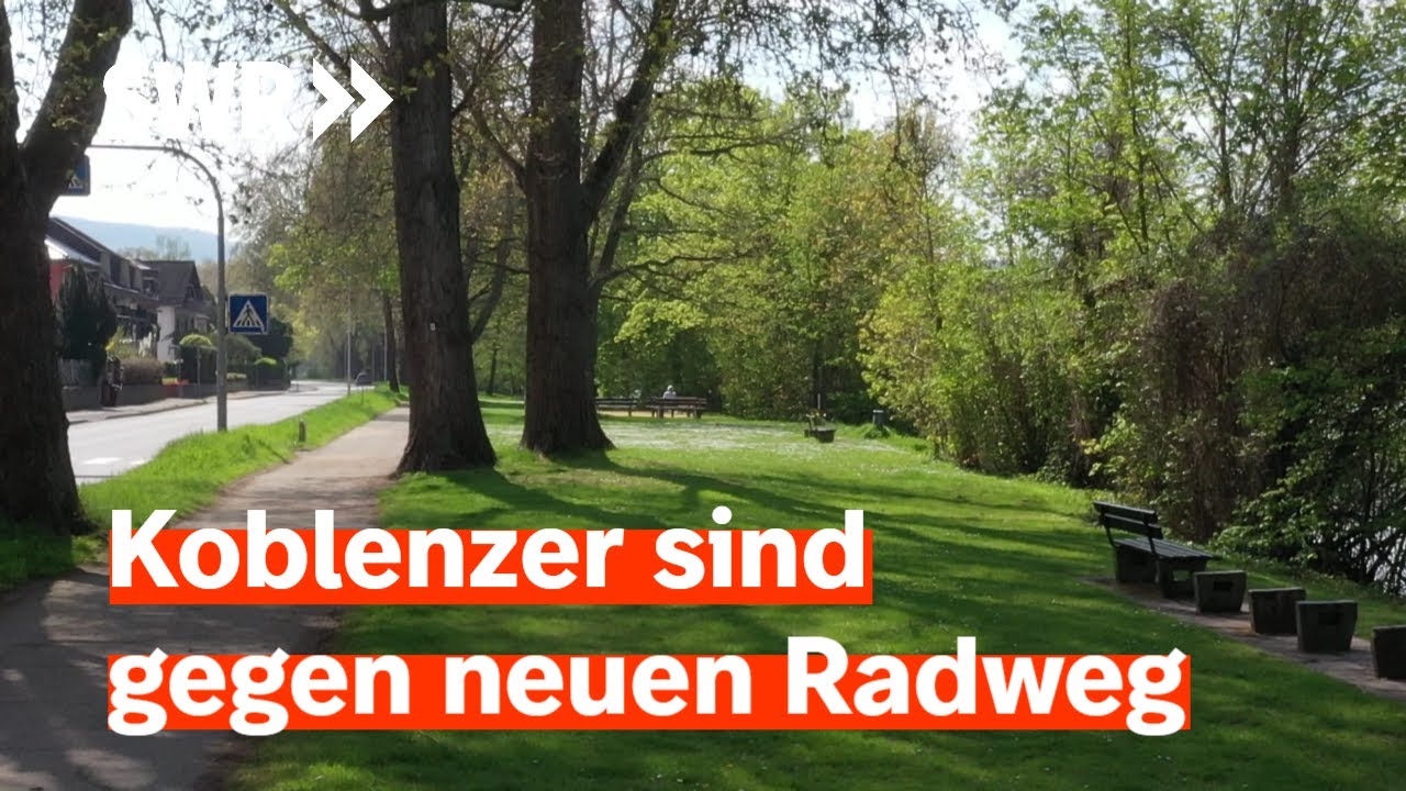 Alte Bäume sollen für neuen Radweg gefällt werden | Zur Sache! Rheinland-Pfalz