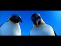 Happy Feet Scene Mumble Hatches