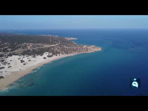 شاهد بالفيديو.. مشاهد لوصول البقط النفطية المتسربة من سورية نحو جزيرة كارباس في قبرص بفعل الرياح