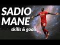 Sadio Mane ● Crazy Skills & Goals ● 2016-17 ● 1080p