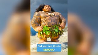 Did you catch this in MOANA