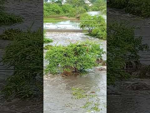 a primeira cheia do Rio una na zona rural de Agrestina Pernambuco